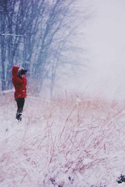 Dried Pepper Mix spice product