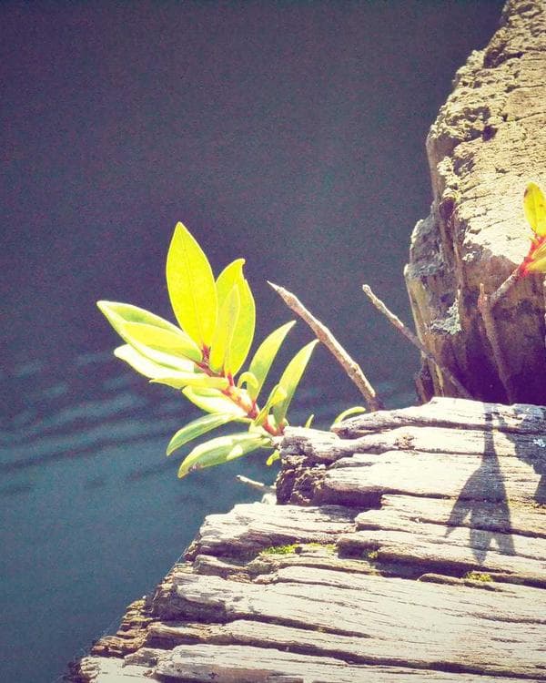 Photo of Oga Fish Depot, a Fresh Fish trader at Mile 12