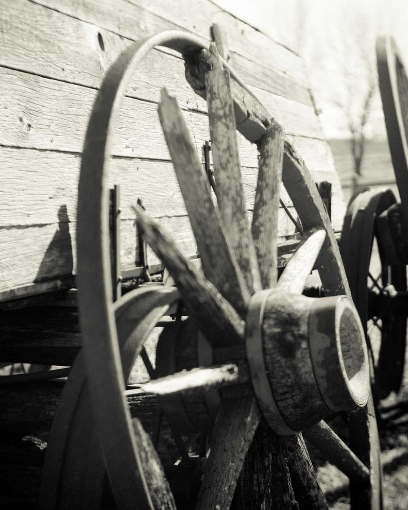 Portrait of Mama Ngozi Seafood at their stall at Mile 12 International Market