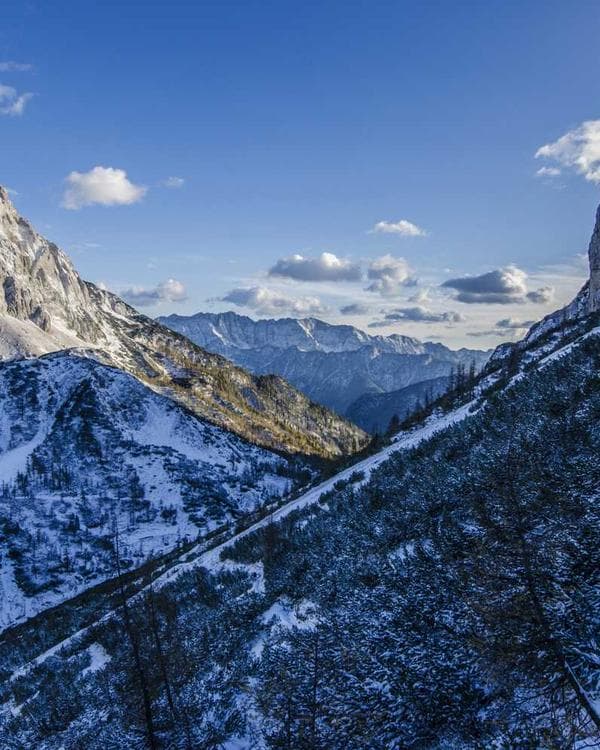 Photo of Lagoon Fresh, a Fresh Fish trader at Mile 12