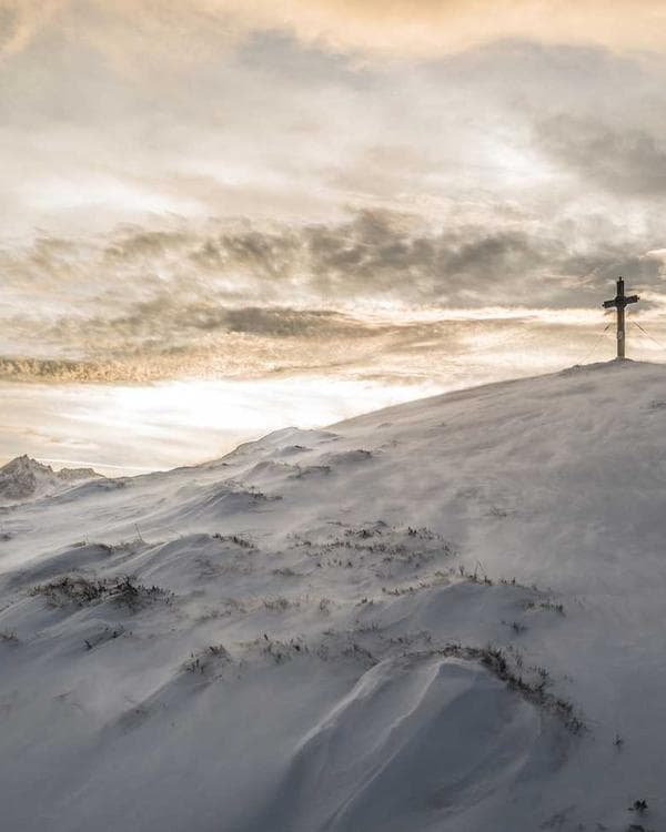 Photo of Alhaji Sule & Sons, a Fruits & Vegetables trader at Mile 12