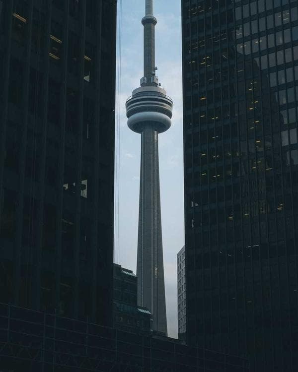 Photo of Sunshine Fruits Ltd, a Fruits & Vegetables trader at Mile 12