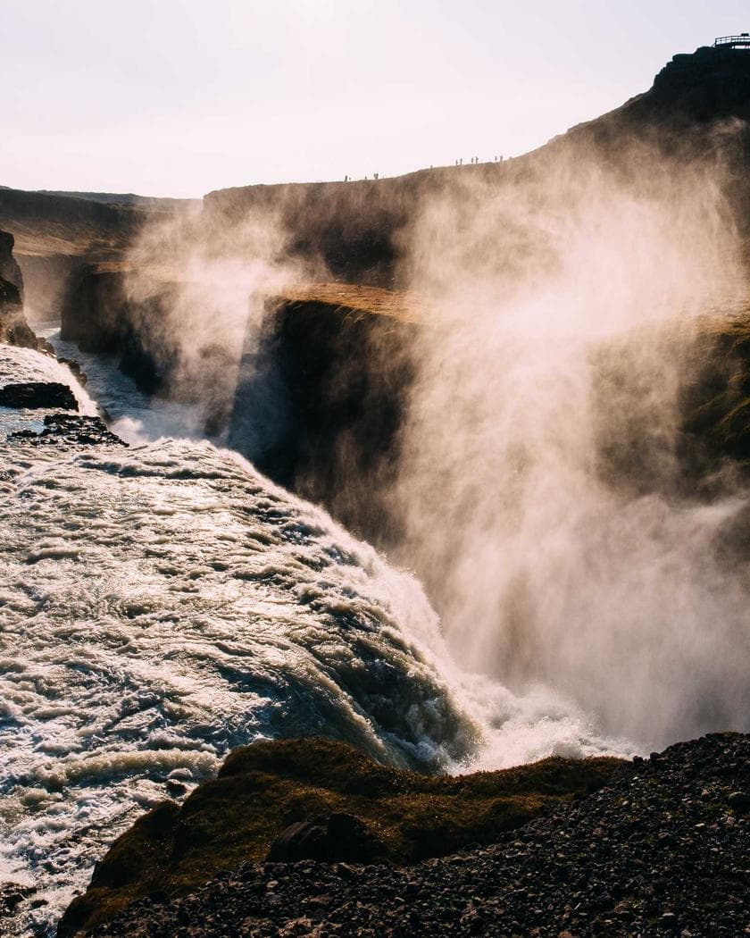 Portrait of West African Exotics at their stall at Mile 12 International Market