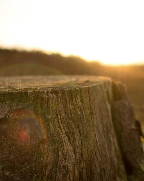 Photo of Uba Grains & Co., a Grains & Staples trader at Mile 12