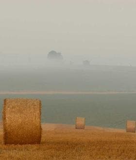 Photo of a Mile 12 trader