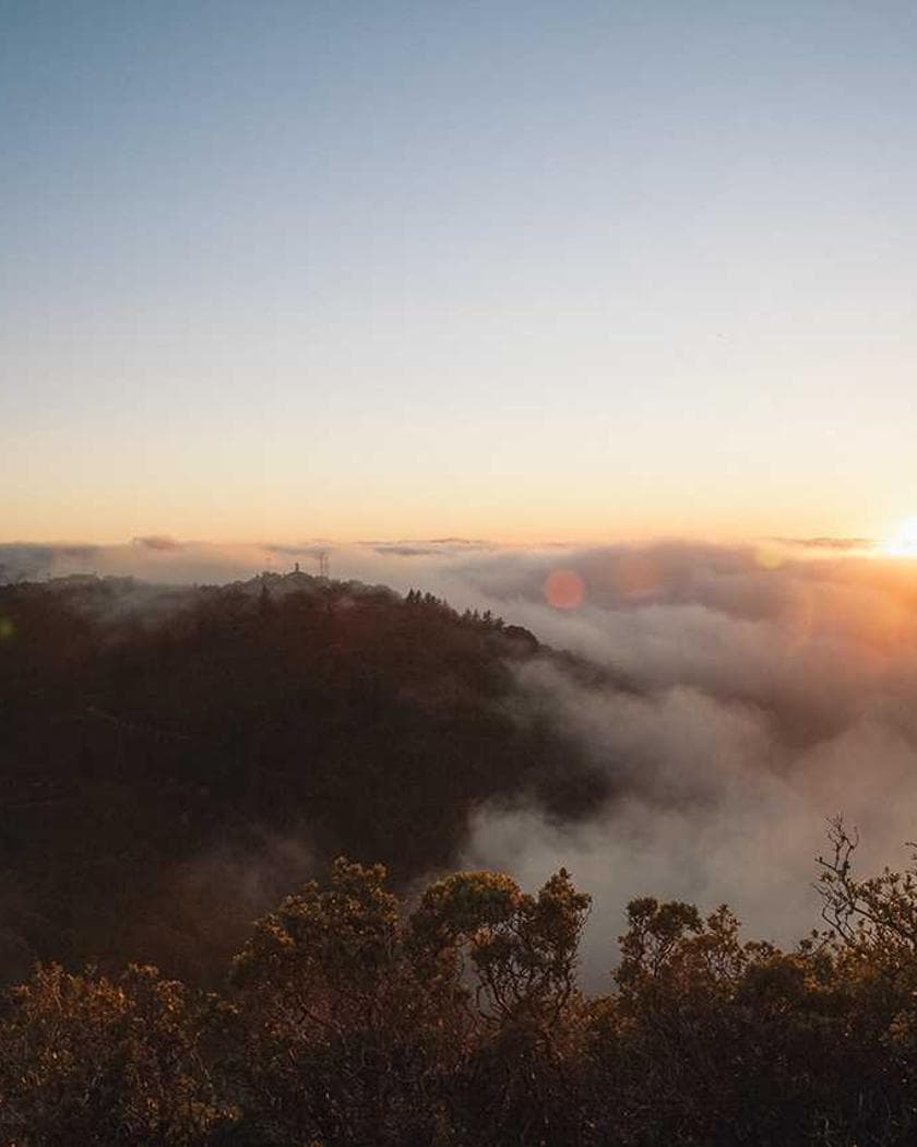Portrait of Lagos Staples Depot at their stall at Mile 12 International Market