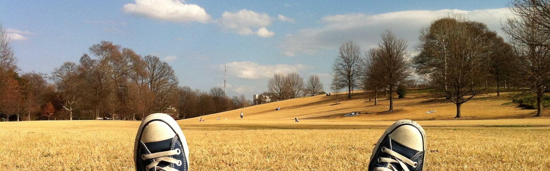 Large sacks of grains ready for bulk orders at Mile 12