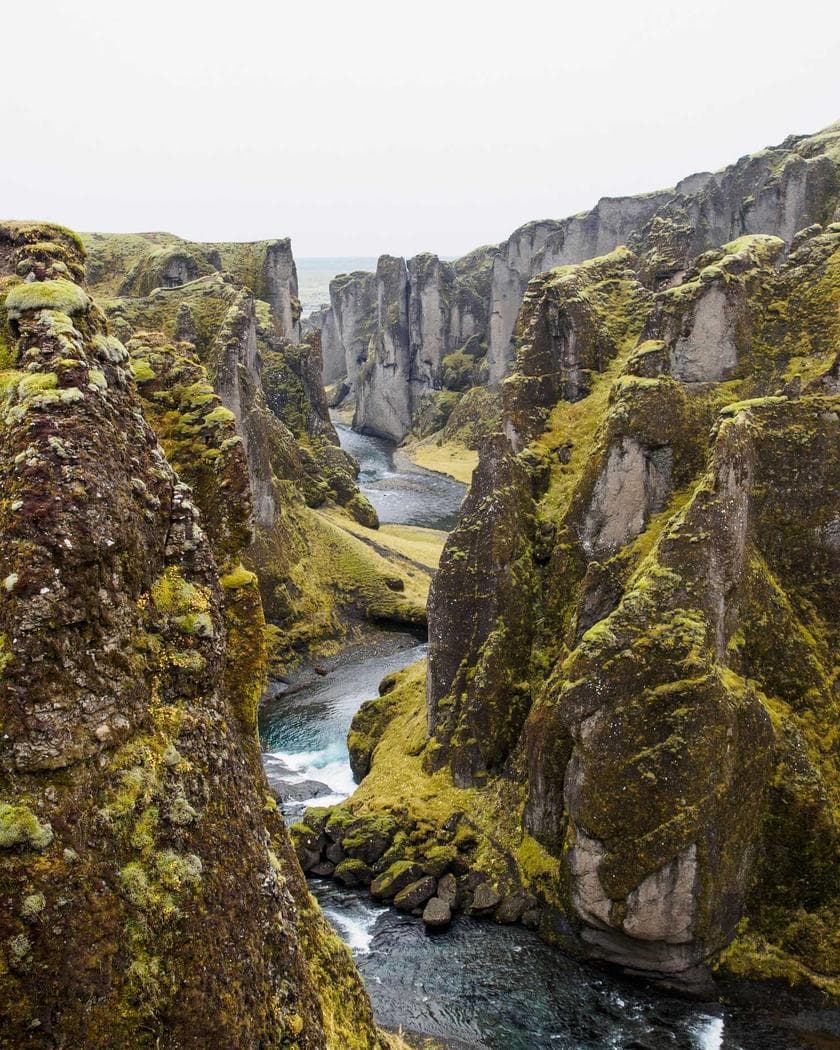 Portrait of Alhaji Musa Butchery at their stall at Mile 12 International Market
