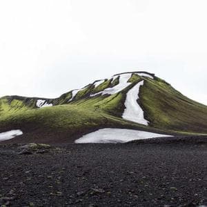 Close up of assorted butchered meat cuts prepared for buyers