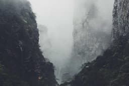 Offal - Kpomo, Tripe & Liver displayed at Mile 12 butcher section