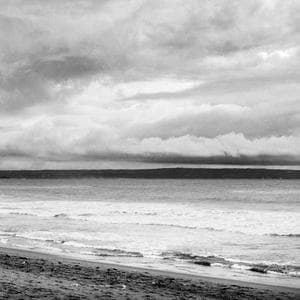 Close up of wood-smoked catfish ready for sale